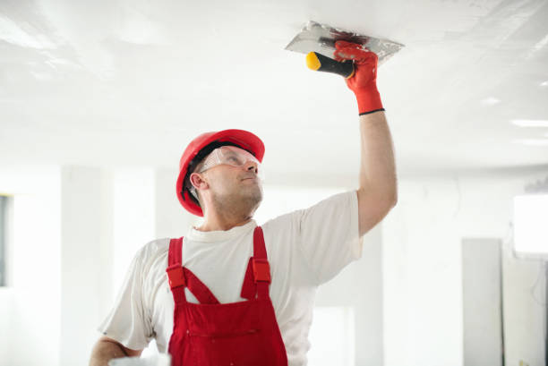 Best Exterior Painting  in Springhill, LA